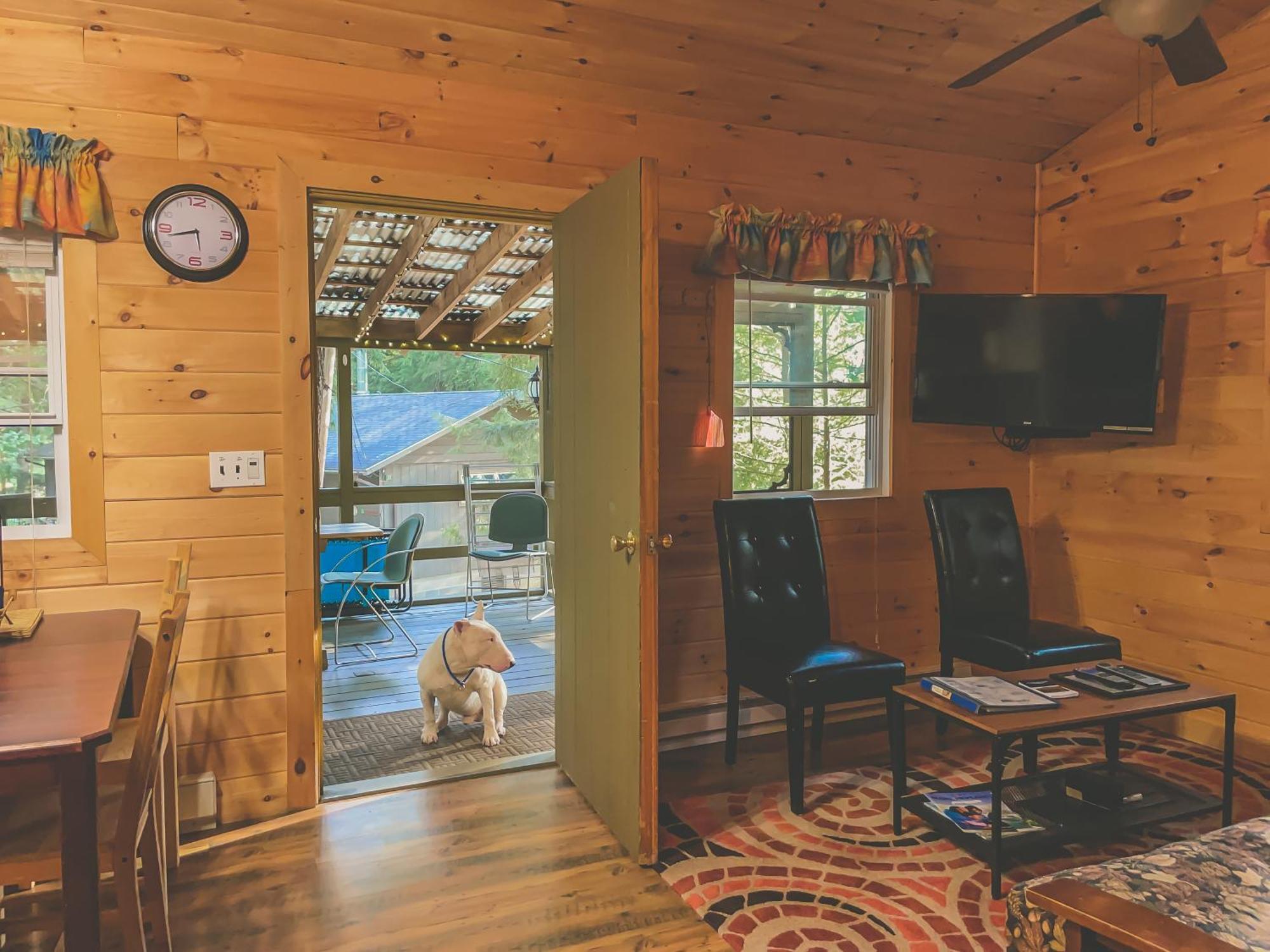 Motel Long Lake And Cottages 客房 照片